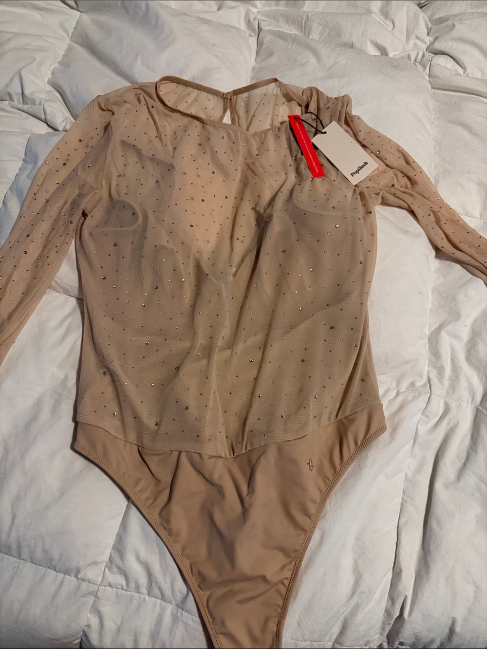 Nude Sheer Mesh Long-Sleeve Rhinestone Bodysuit